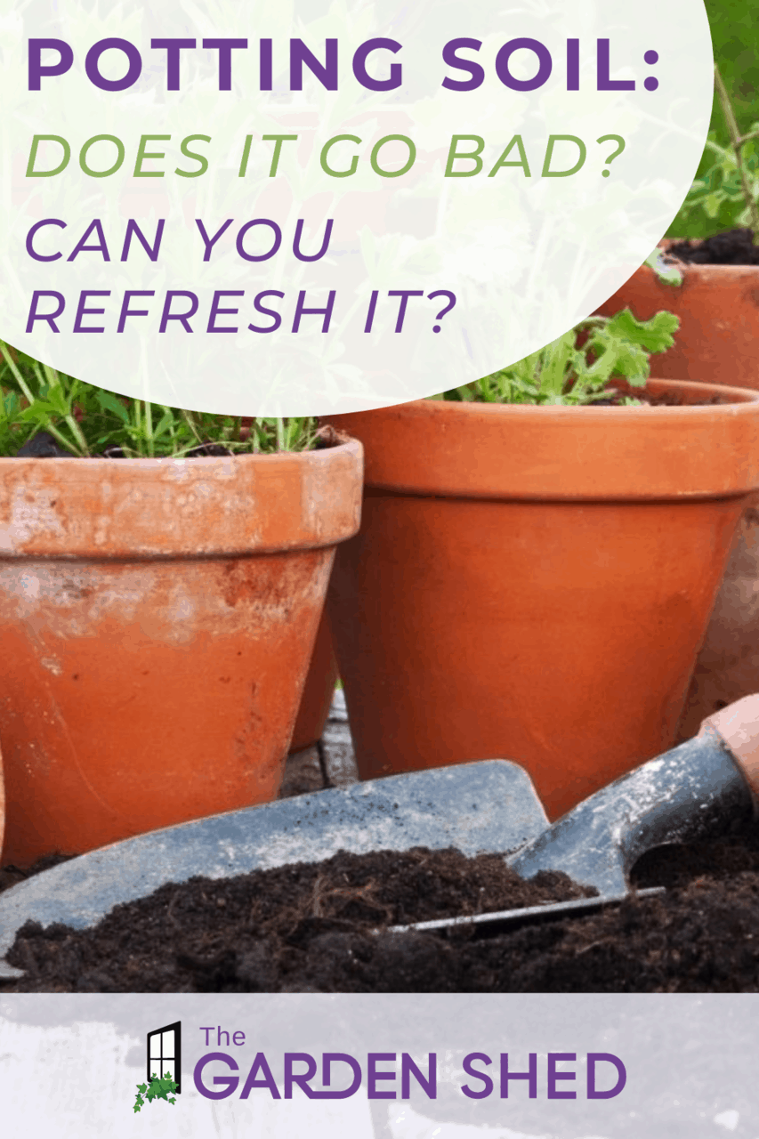 Does Potting Soil Go Bad? The Garden Shed