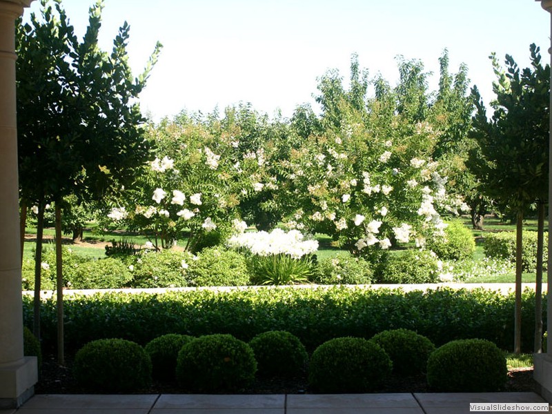 The Garden Shoppee Nursery, Lodi CA (209) 3336287