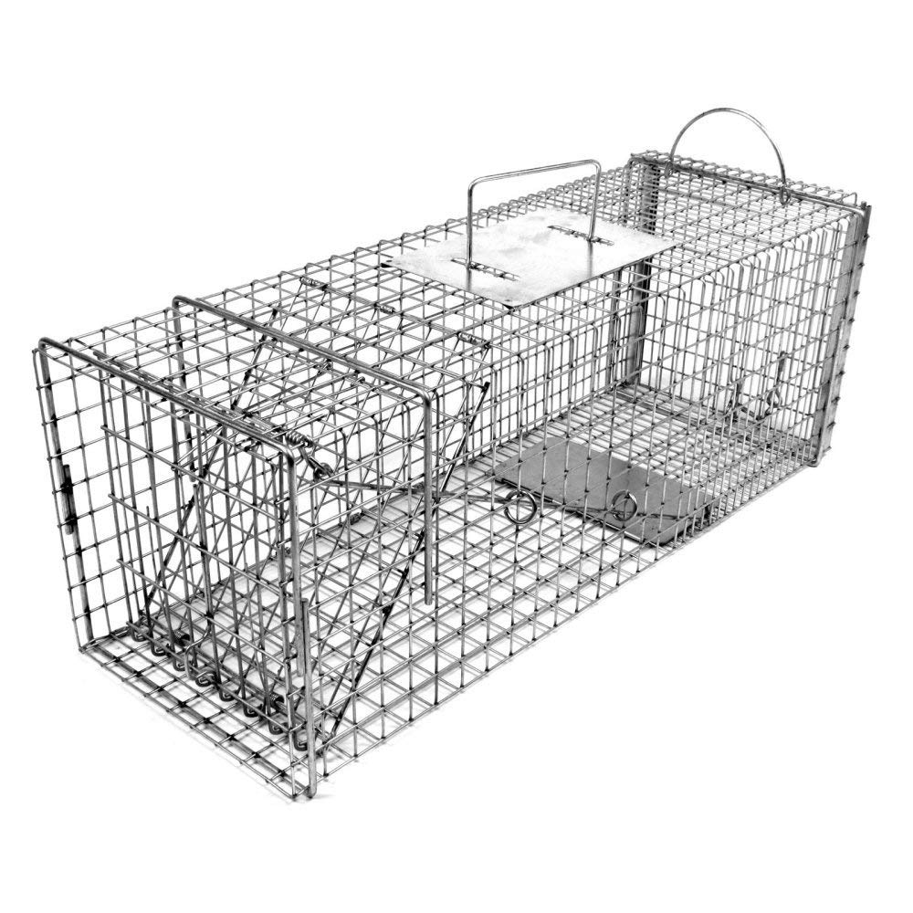 Best Raccoon Traps Reviewed & Rated for Quality TheGearHunt