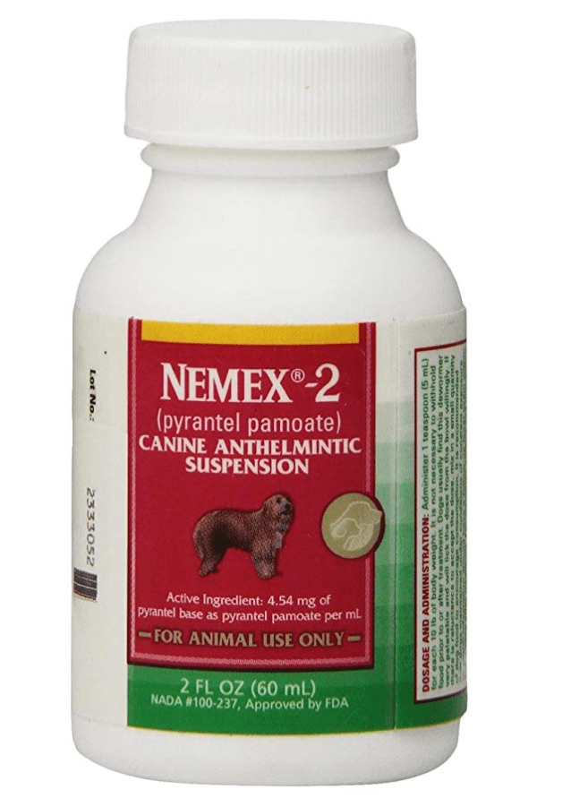 10 Best Cat Dewormers Reviewed in 2022 TheGearHunt