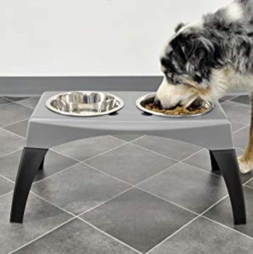 Best Dog Bowls for the Family Pet Reviewed in 2024 TheGearHunt