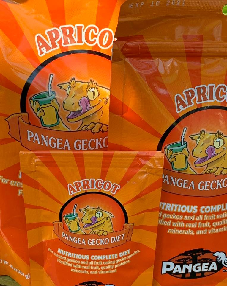 Pangea Complete Gecko Diet Apricot Gecko Geek