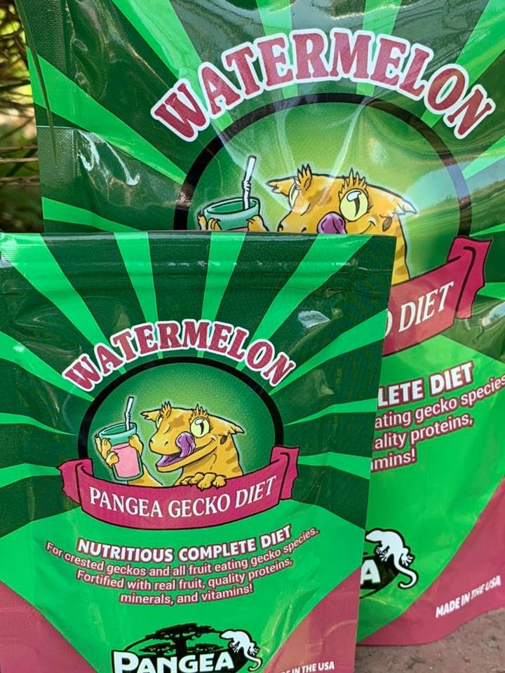 Pangea Complete Gecko Diet Watermelon The Gecko Geek