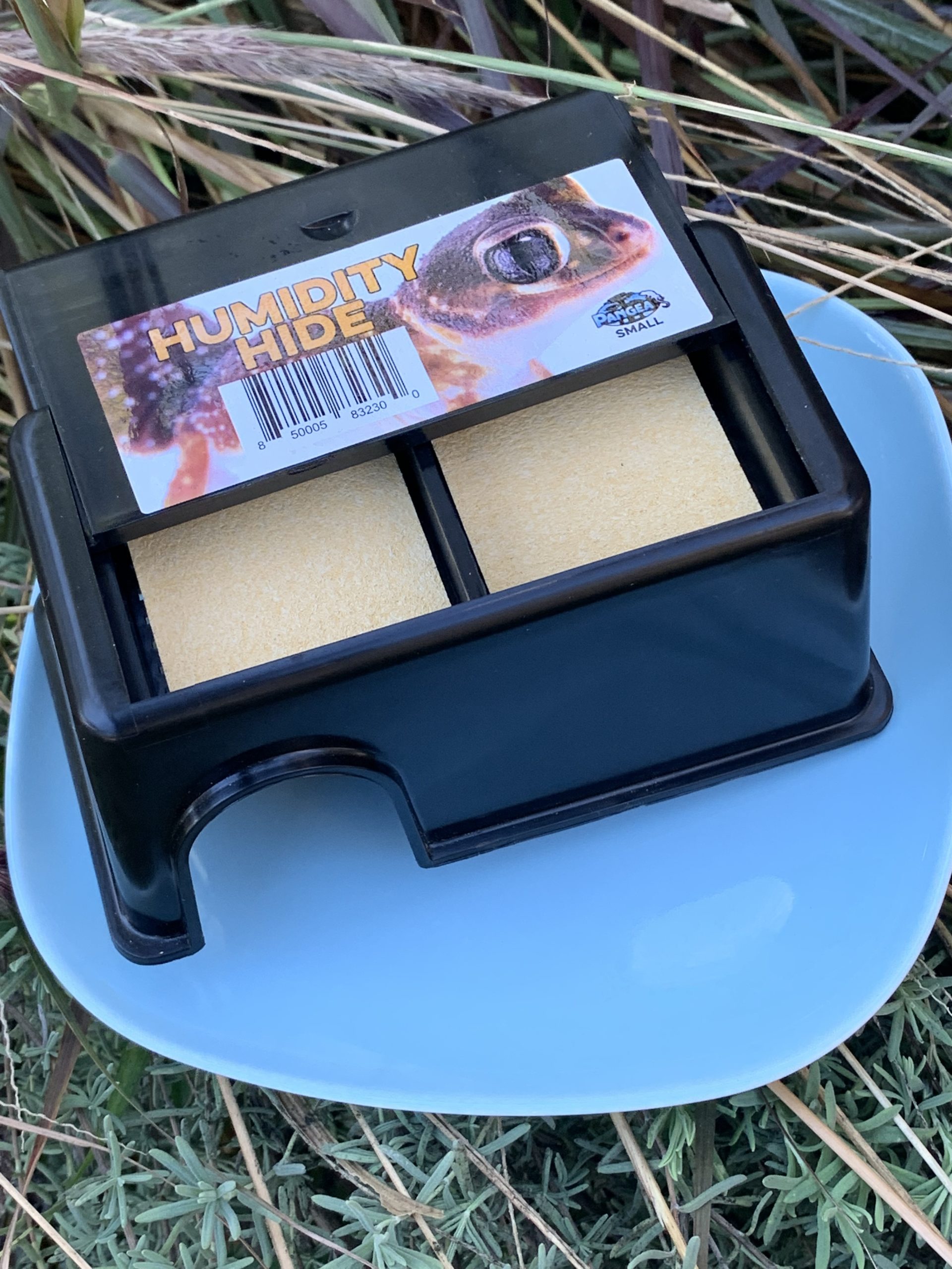 Humid Hide by Pangea The Gecko Geek