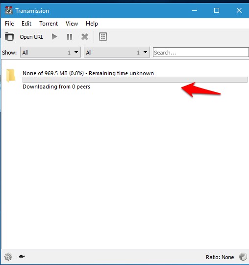 Torrent Transmission Windows