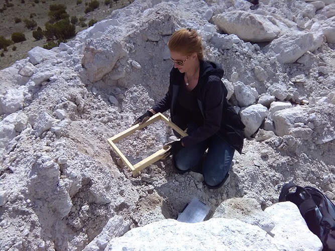 ORE Bulk Bag of Mine Run [Solar Wind Mine] Gem.tours (Treasure