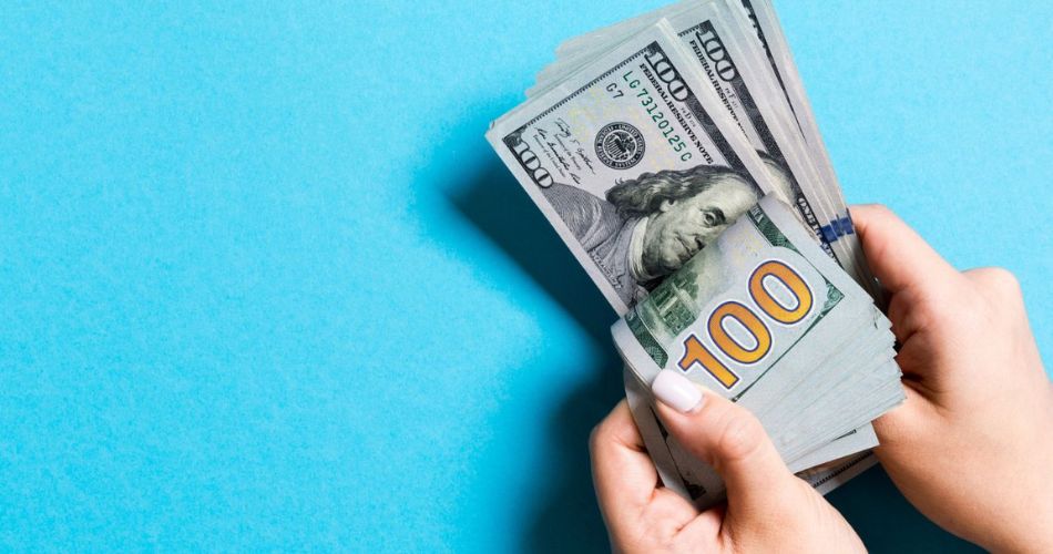 How to Get Paid to Poop And Make 180,000 A Year The Genius Cat