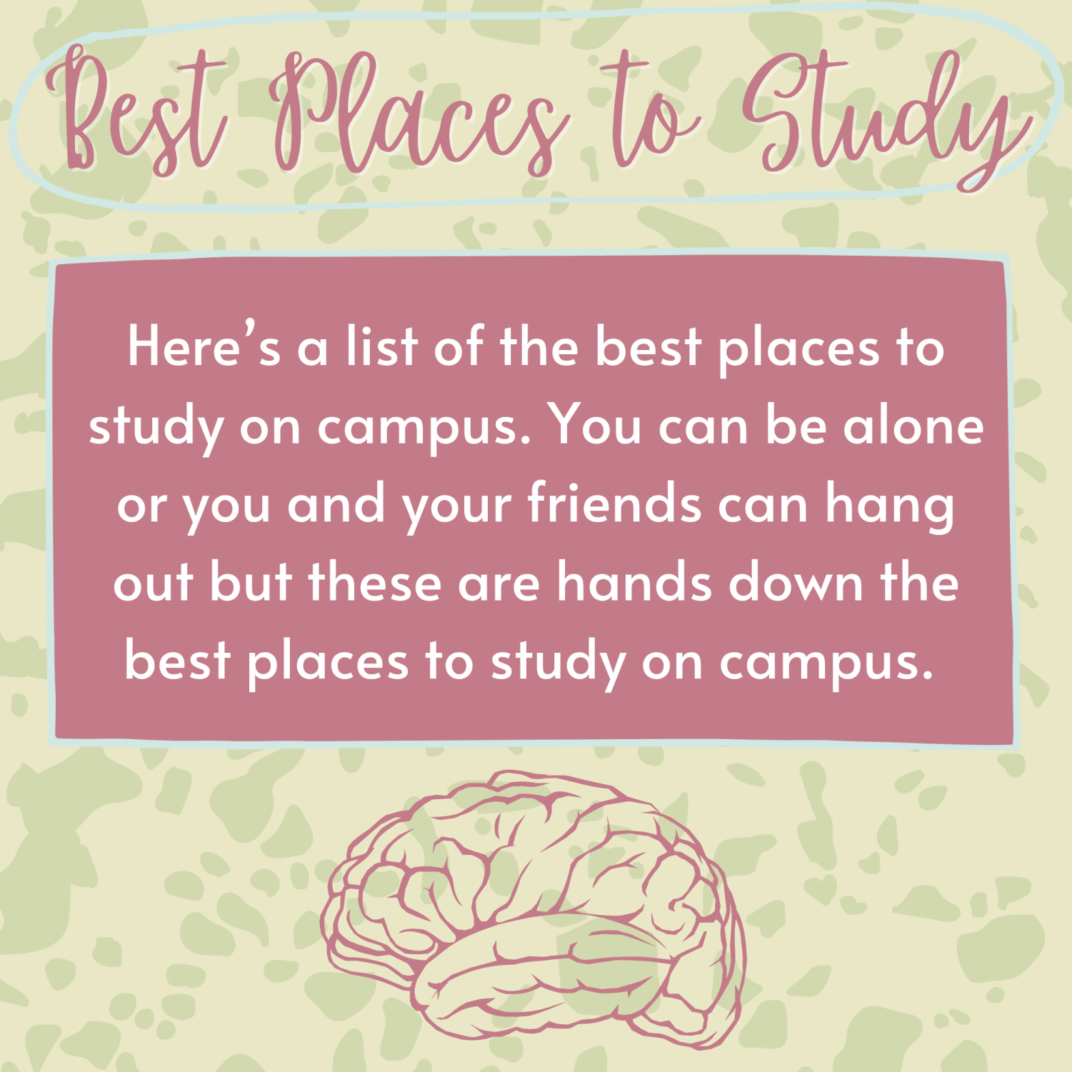Best Places to Study The Media Group