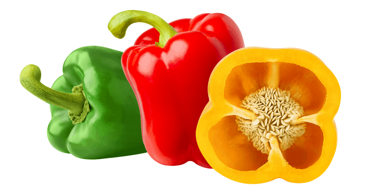 30 Vegetables German Shepherds Can Eat And 7 to Avoid The German