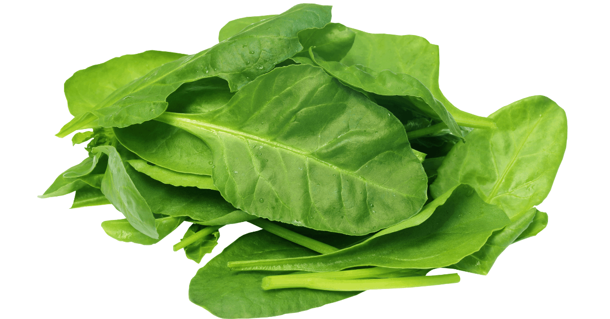 30 Vegetables German Shepherds Can Eat And 7 to Avoid The German