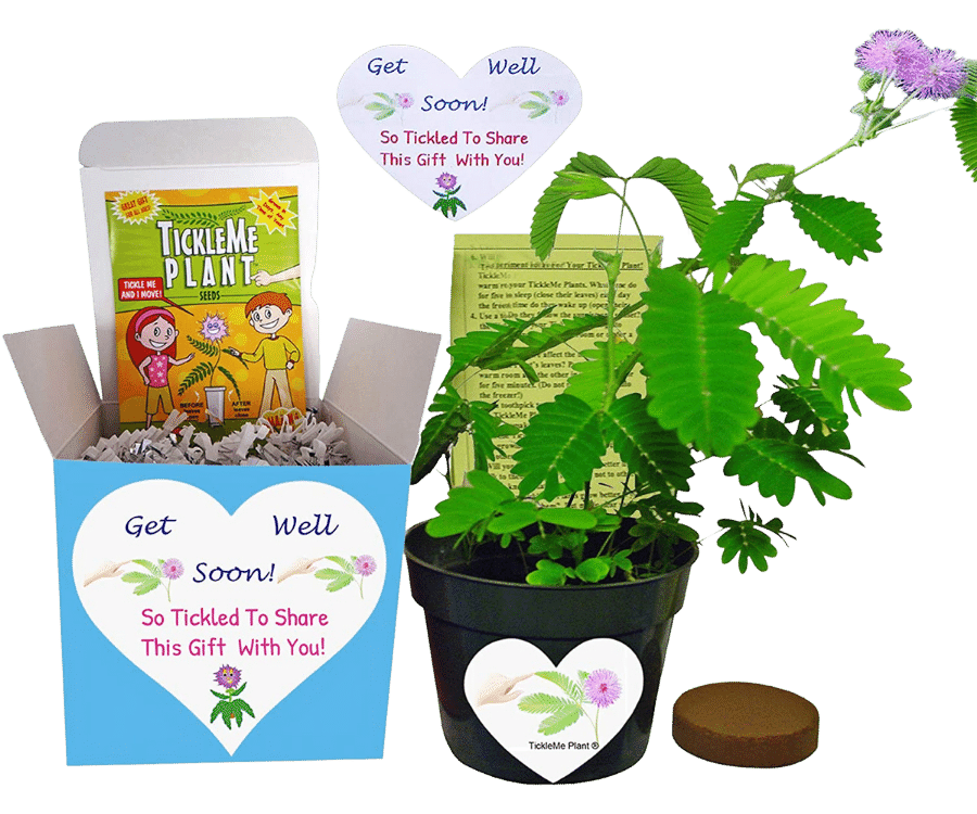 34 Best After Surgery Gifts