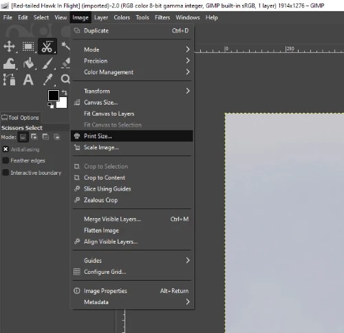 How to Change Canvas Size in GIMP (2 Quick Steps)