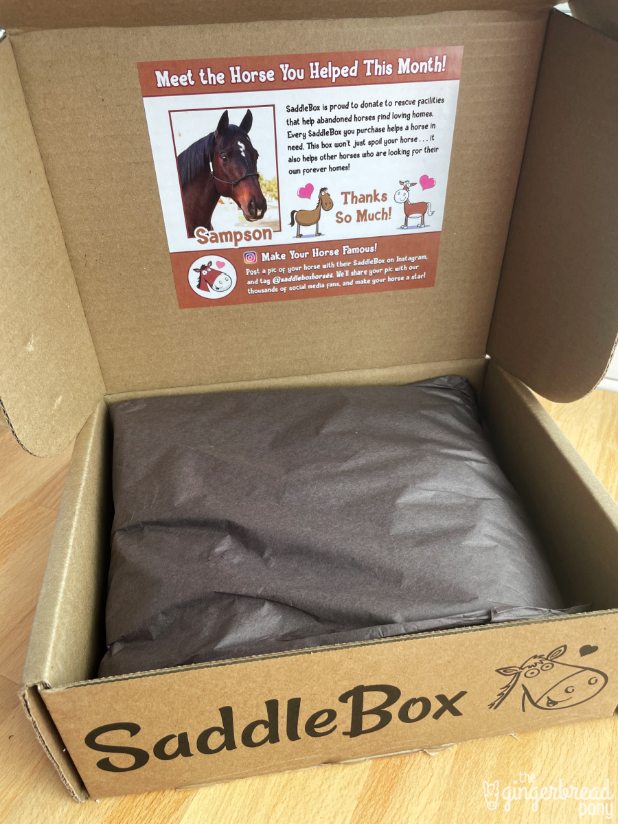 SaddleBox Subscription Box Unboxing Review The Gingerbread Pony
