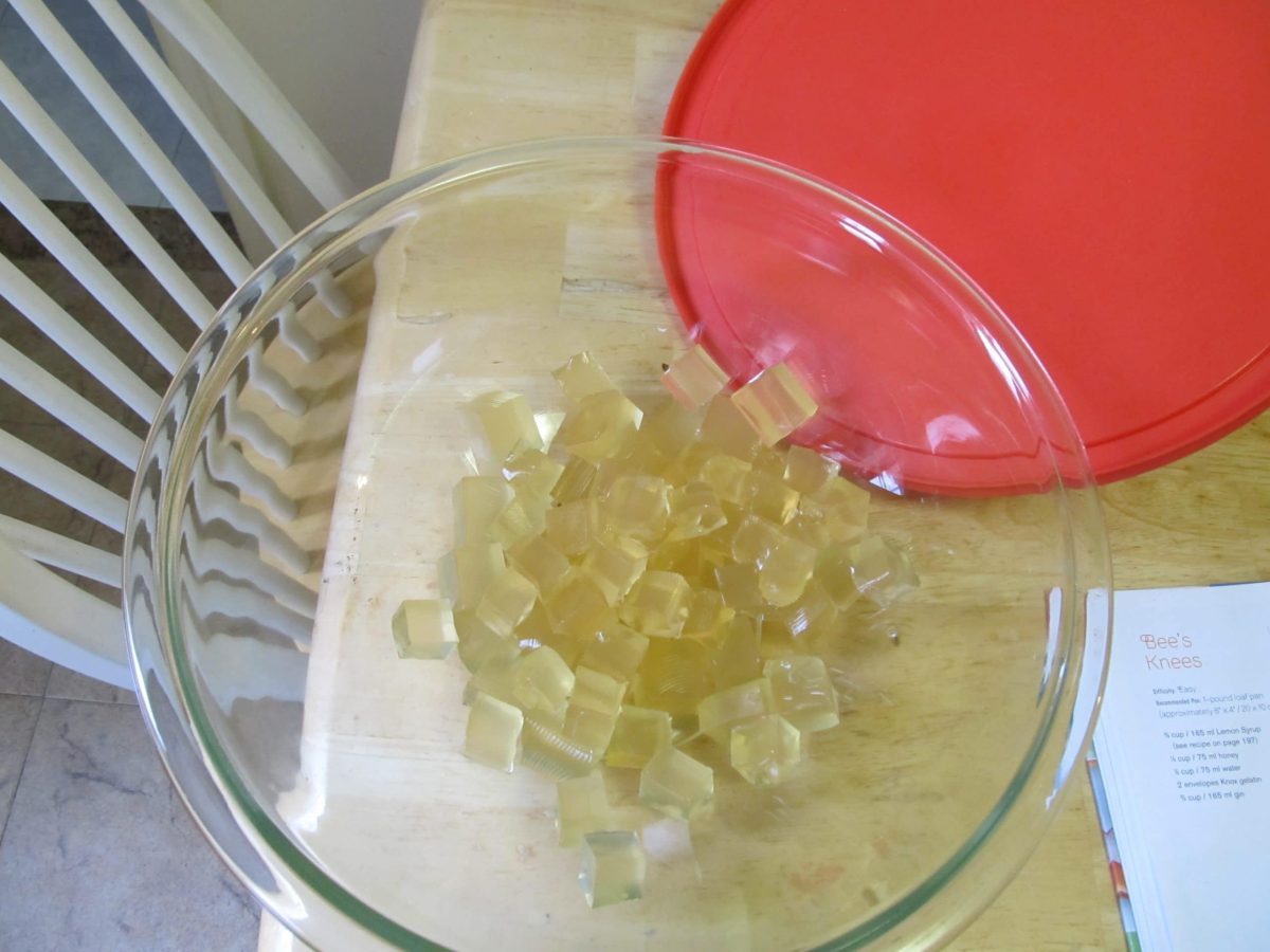 Jello Shots with Gin Tom Collins Jelly Shot by the GIN is IN
