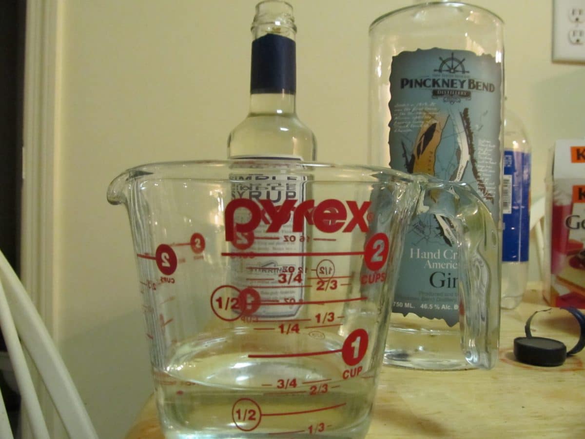 Jello Shots with Gin Tom Collins Jelly Shot by the GIN is IN