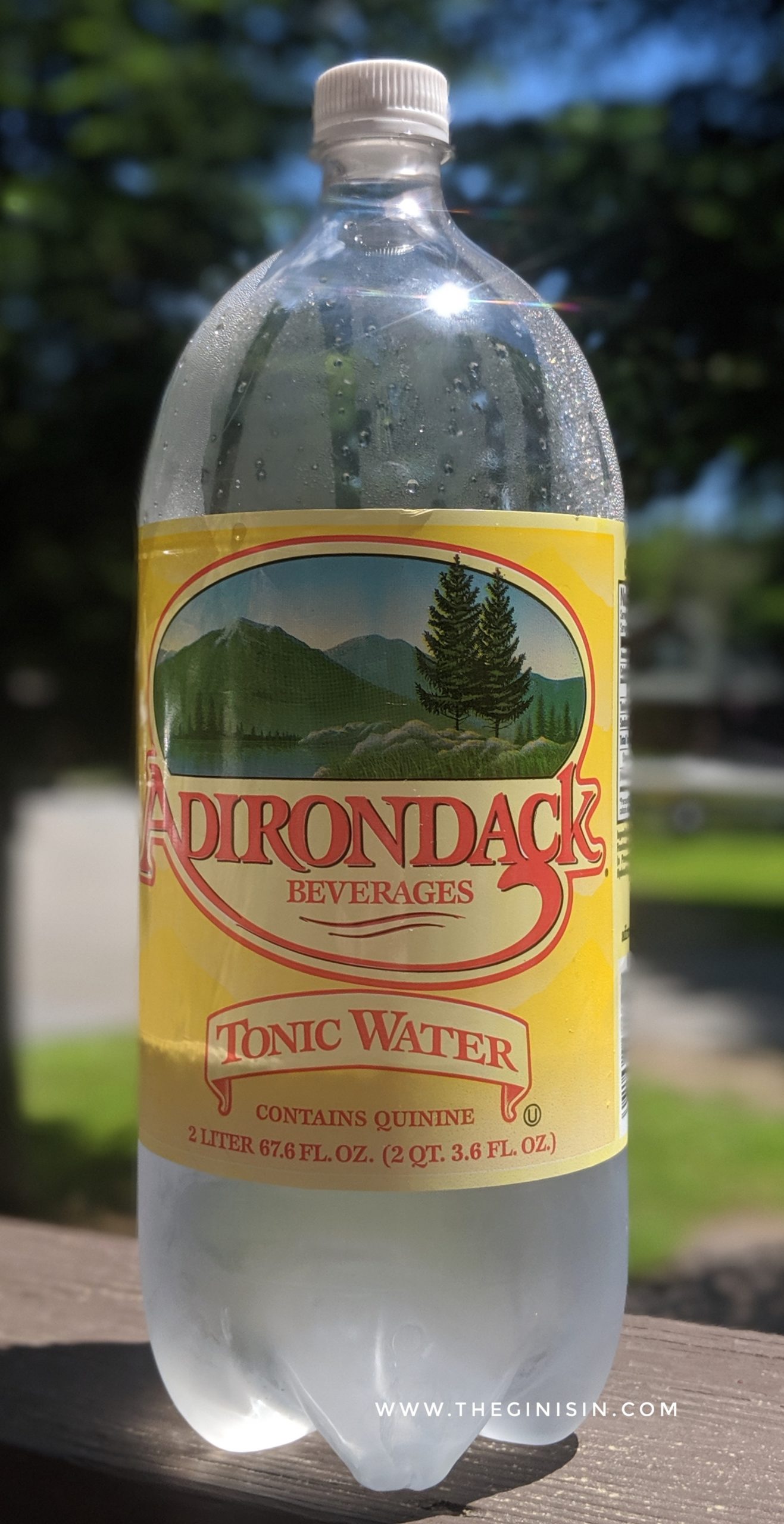 Adirondack Tonic Water Tonic Water Review and Tasting Notes