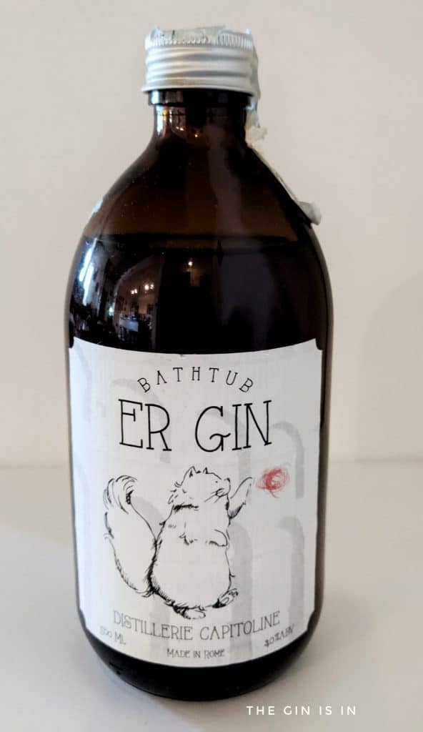 Bathtub Er Gin from Italy, Review and Rating the GIN is IN