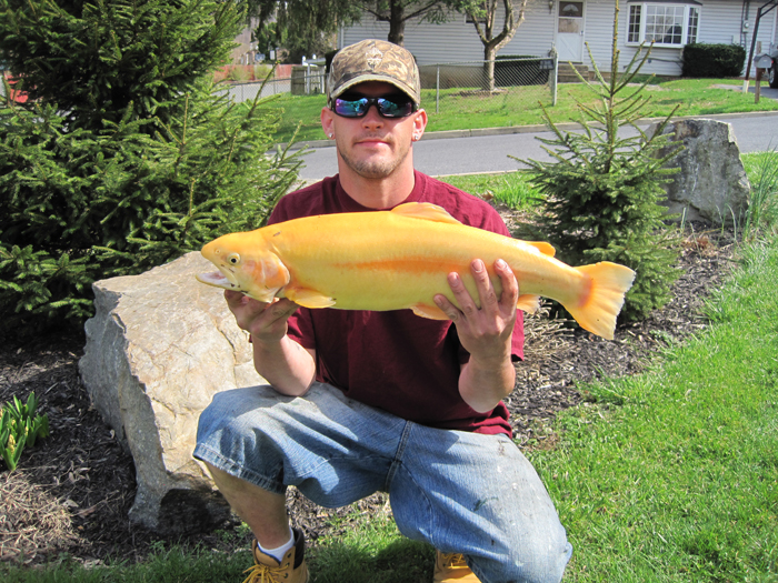 Fishing Allentown PA Archery At The Glenn Poconos PA