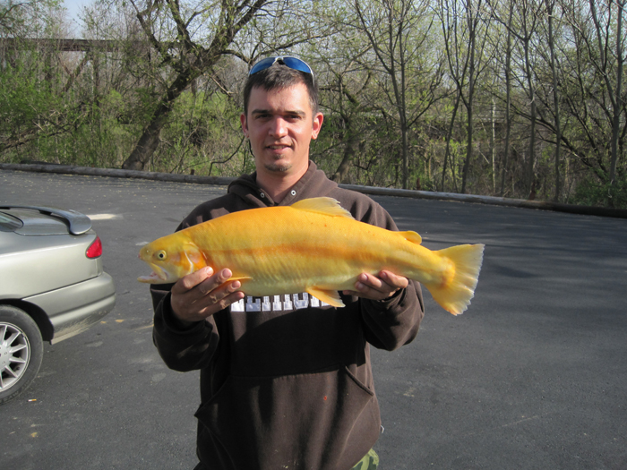 Fishing Allentown PA Archery At The Glenn Poconos PA