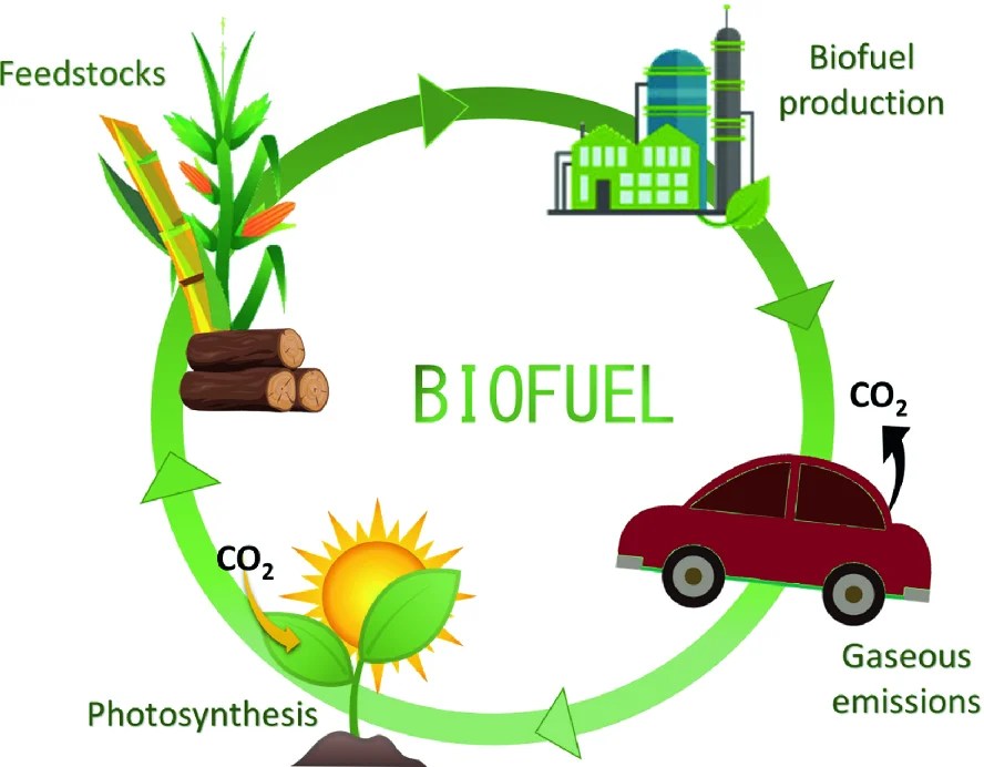 Biofuel: An Innovative Environment-Friendly Sustainable Fuel
