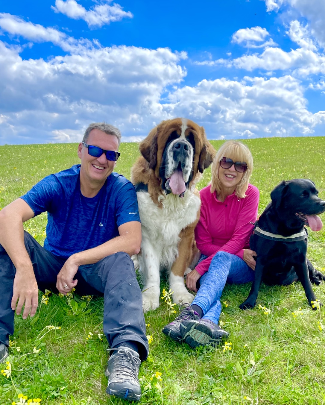 Pet Owners Guide To Finding House and Pet Sitters