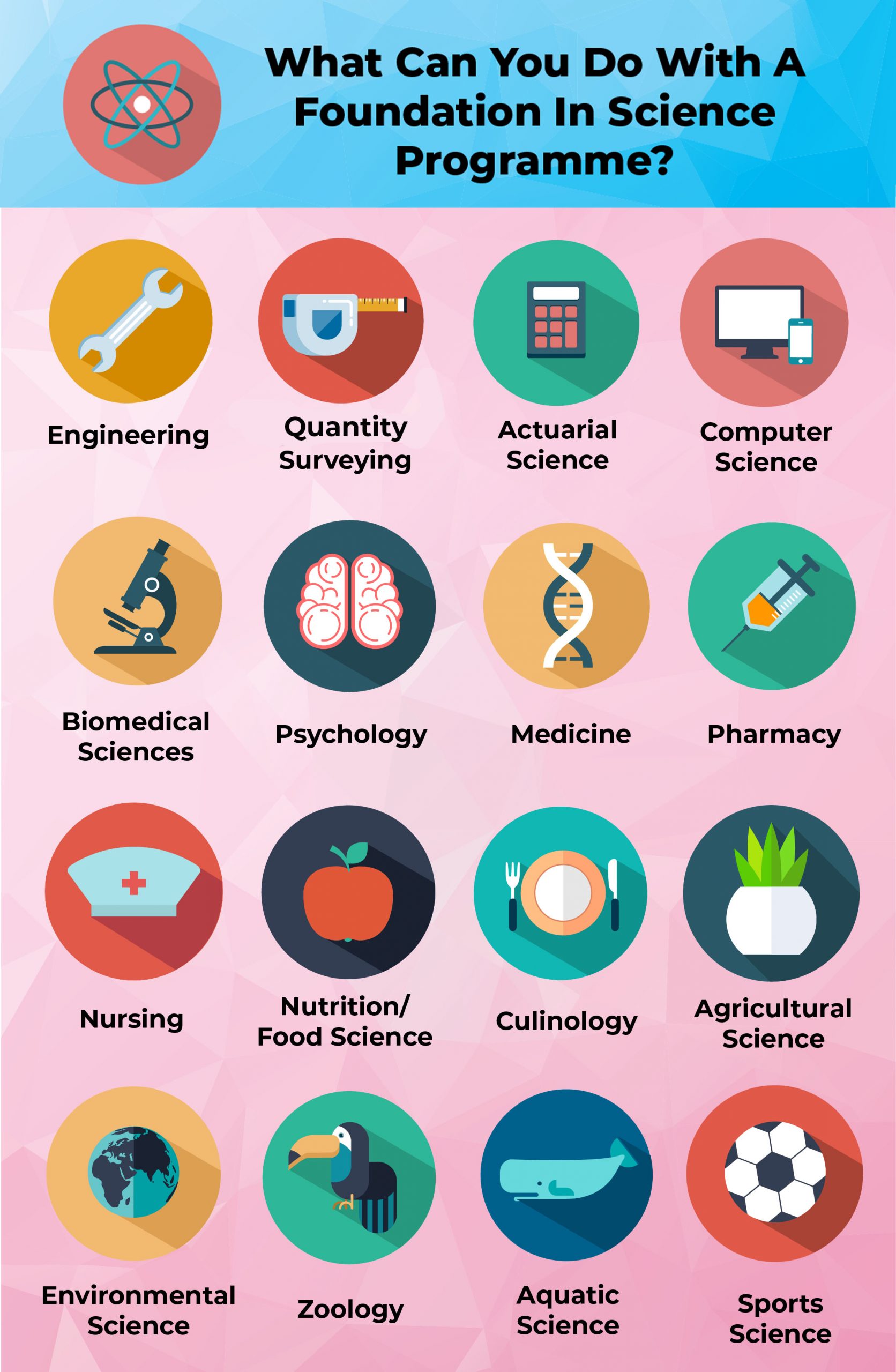 What Can You Do With A Foundation In Science Programme? The Global