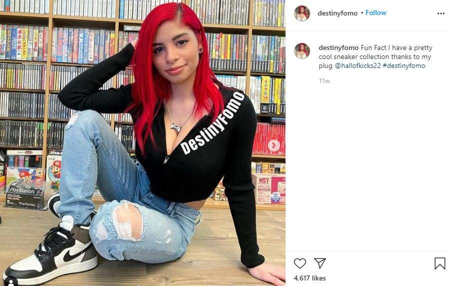 Destiny Fomo Biography Age, Autism, Cosplay, New Worth 2021