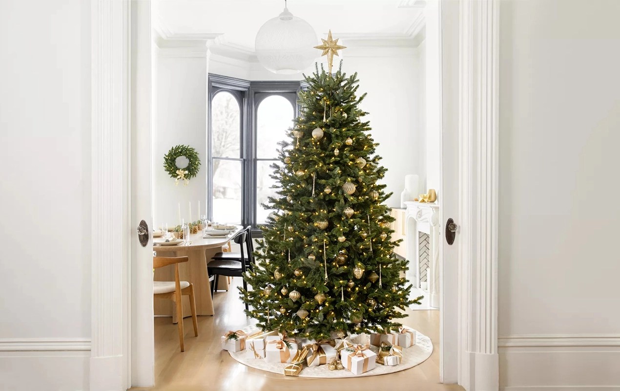 Ethical And Sustainable Christmas Tree Delivery London 2023