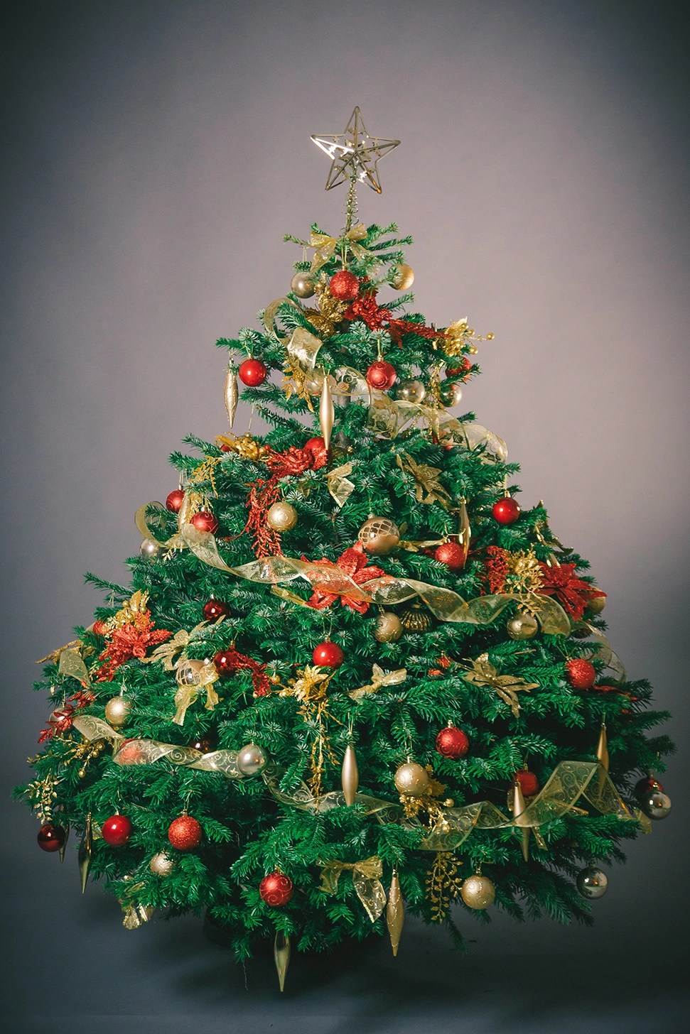 Ethical And Sustainable Christmas Tree Delivery London 2023