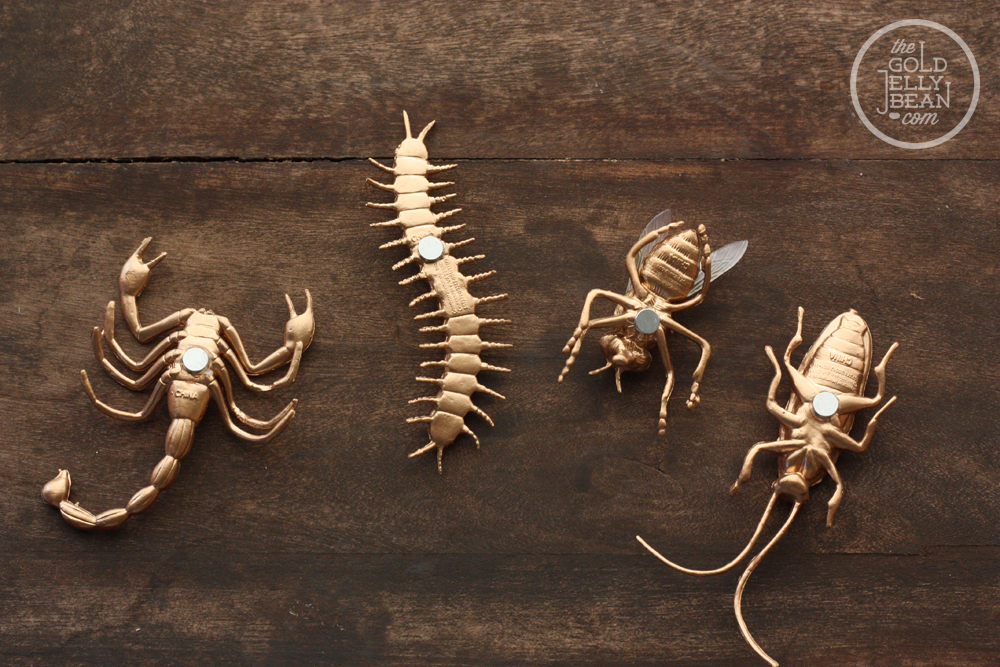 DIY Insect The Gold Jellybean