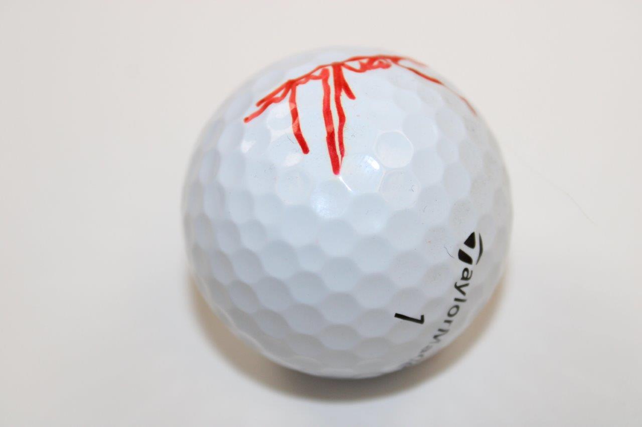 Lot Detail Jon Rahm Signed TaylorMade 1 TP5 Logo Golf Ball JSA ALOA