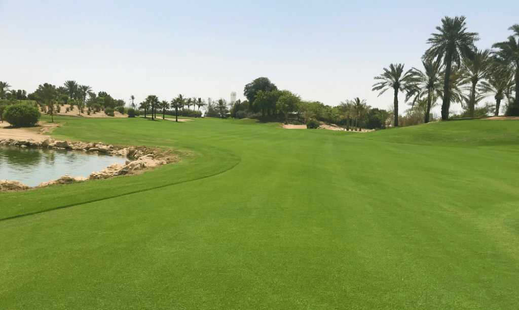 New Seeded Bermudagrass Developed The Golf Wire