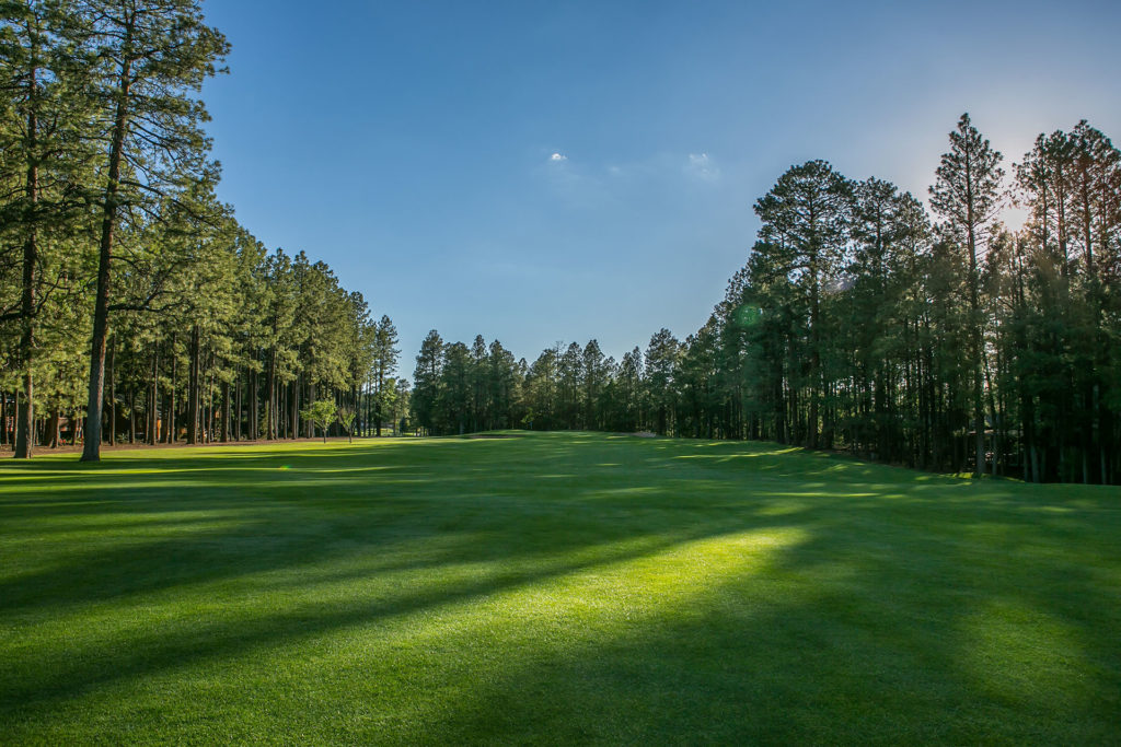 HAROLD MITCHELL NAMED SUPERINTENDENT AT COUNTRY CLUB The Golf