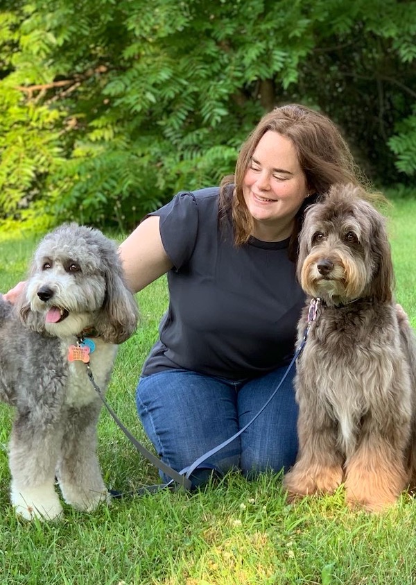 Peoria Dog Trainer About The Good Dog Training Academy