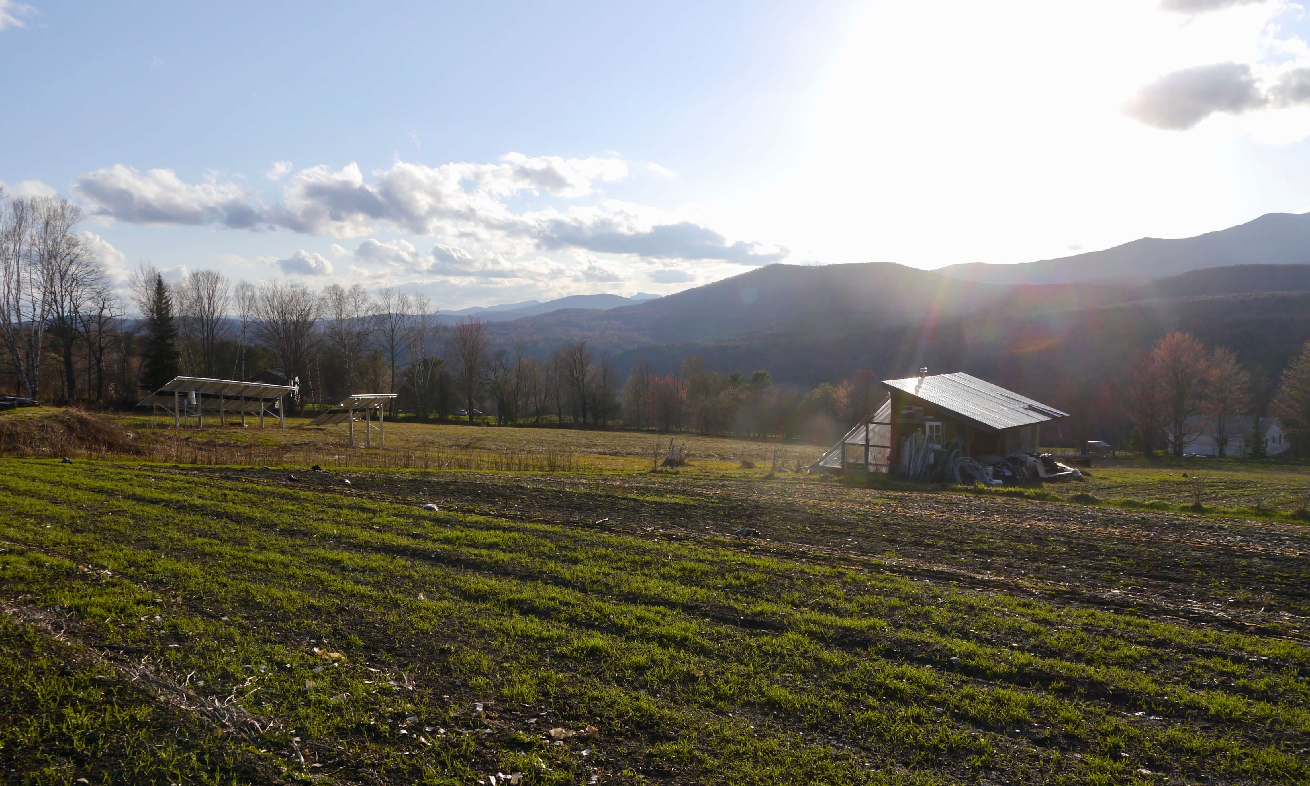 spring on the farm