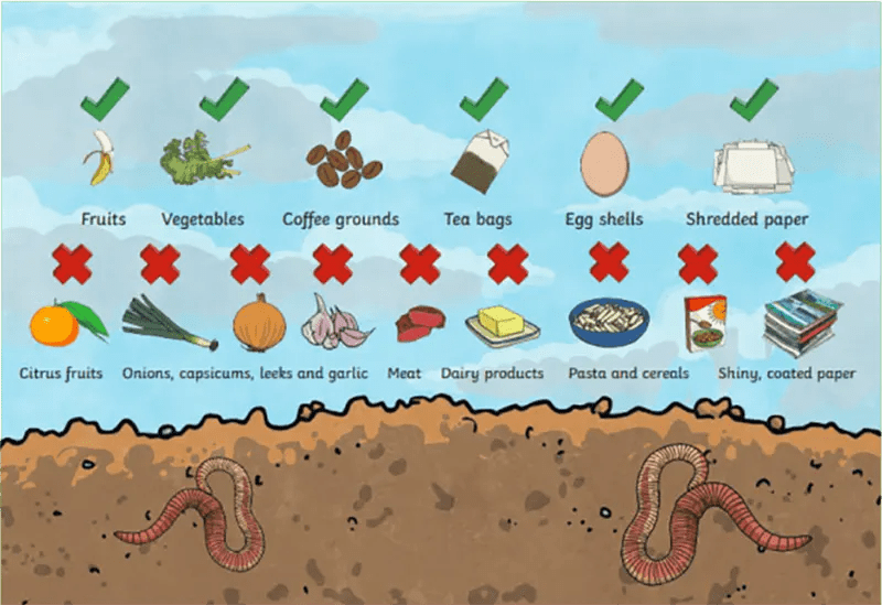 How Does Worm Farming Work? Basic Set Up, Tips, & More