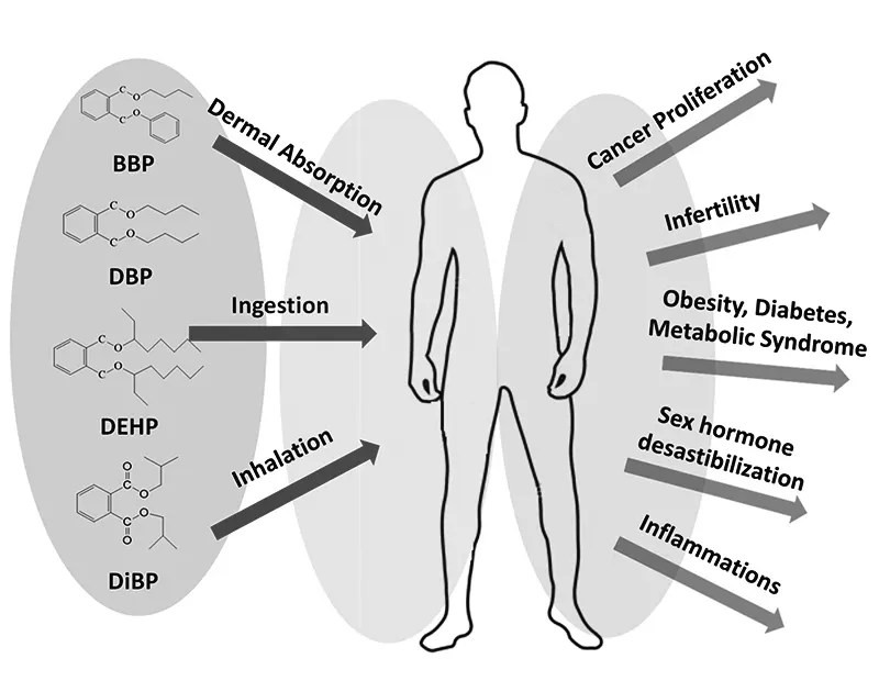 Can You Heat Food in Plastic Containers? Is It Safe?