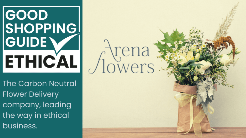 Carbon neutral ethical flower delivery, from Arena Flowers