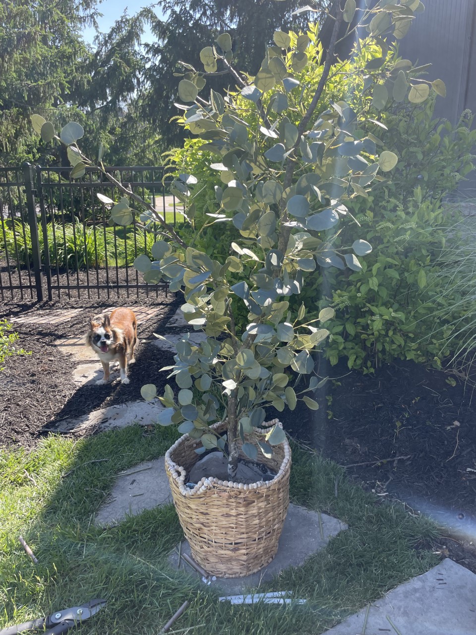 Faux Eucalyptus Tree DIY Dupe The Good Wrench