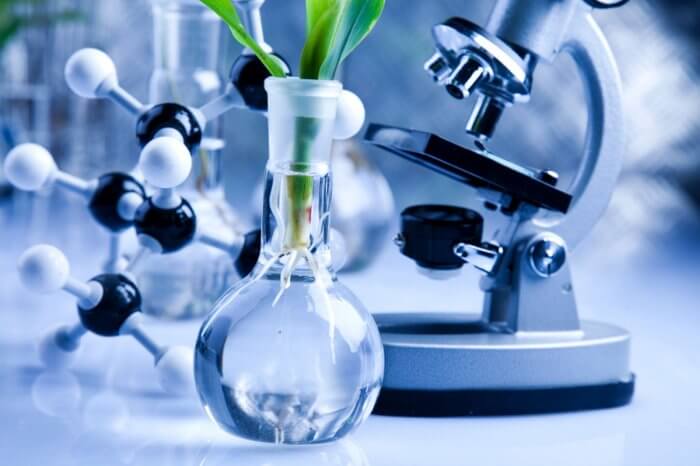 Bioteknologi Konvensional dan Modern (Pengertian, Manfaat, Dampak)
