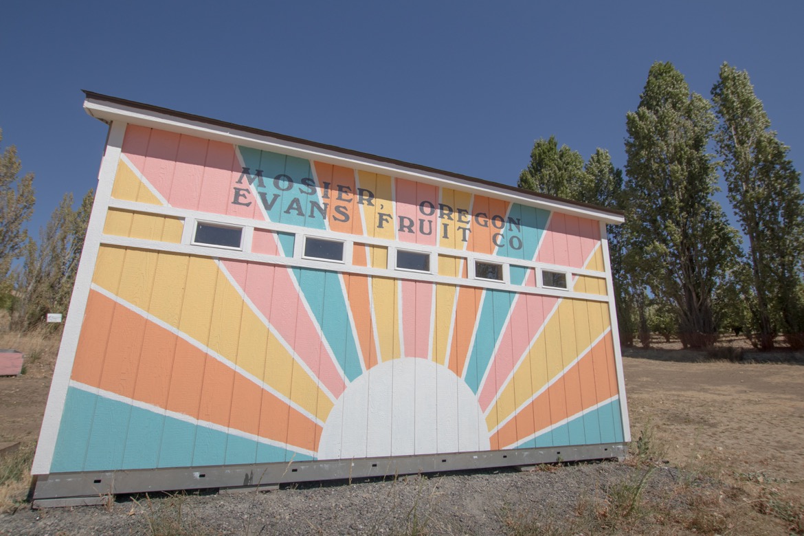 5 fun things to do in Mosier Oregon The Guide