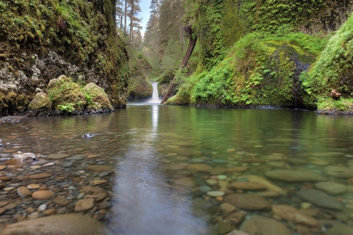 The Eagle Creek Trail to Punch Bowl Falls hike The Guide
