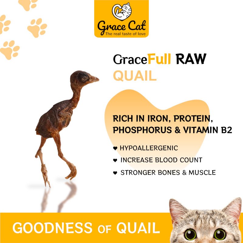 GraceFull RAW Freezedried Quail 50g Grace Cat