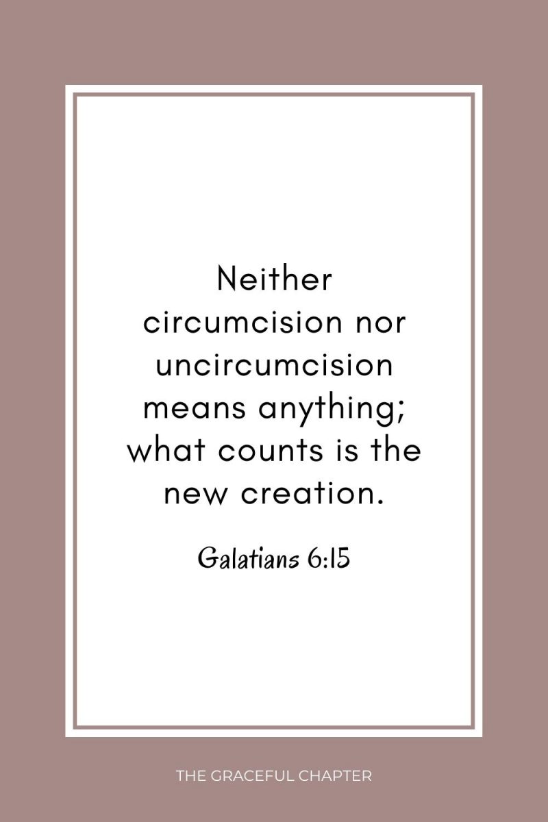 42 Bible Verses About Being Born Again The Graceful Chapter