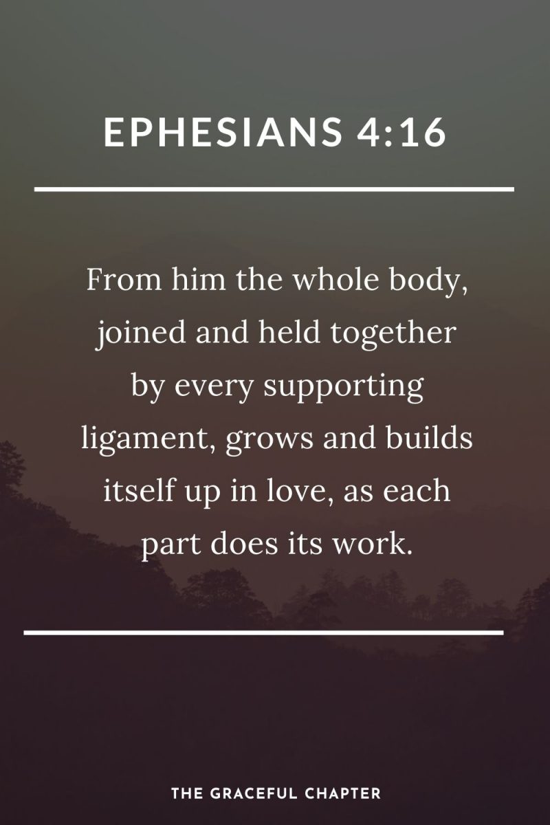 40 Bible Verses About Togetherness The Graceful Chapter