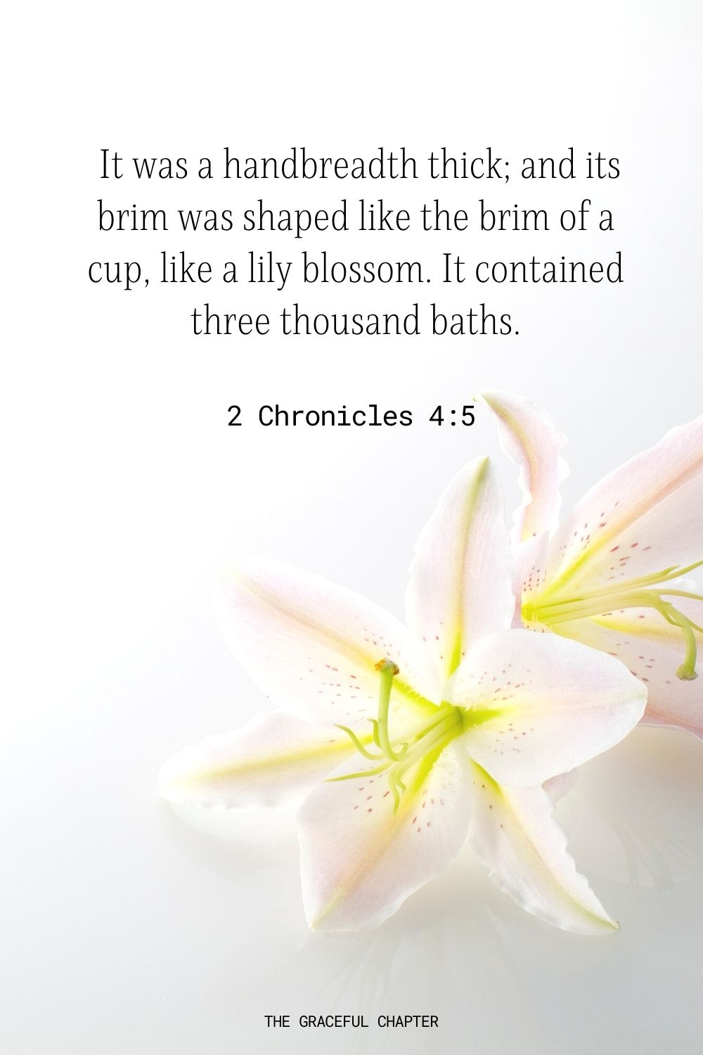 33 Bible Verses About Flowers The Graceful Chapter
