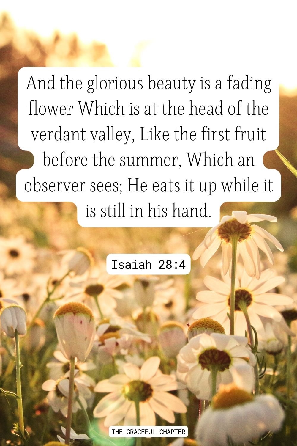 33 Bible Verses About Flowers The Graceful Chapter