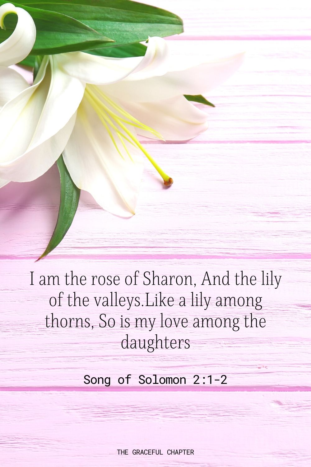 33 Bible Verses About Flowers The Graceful Chapter