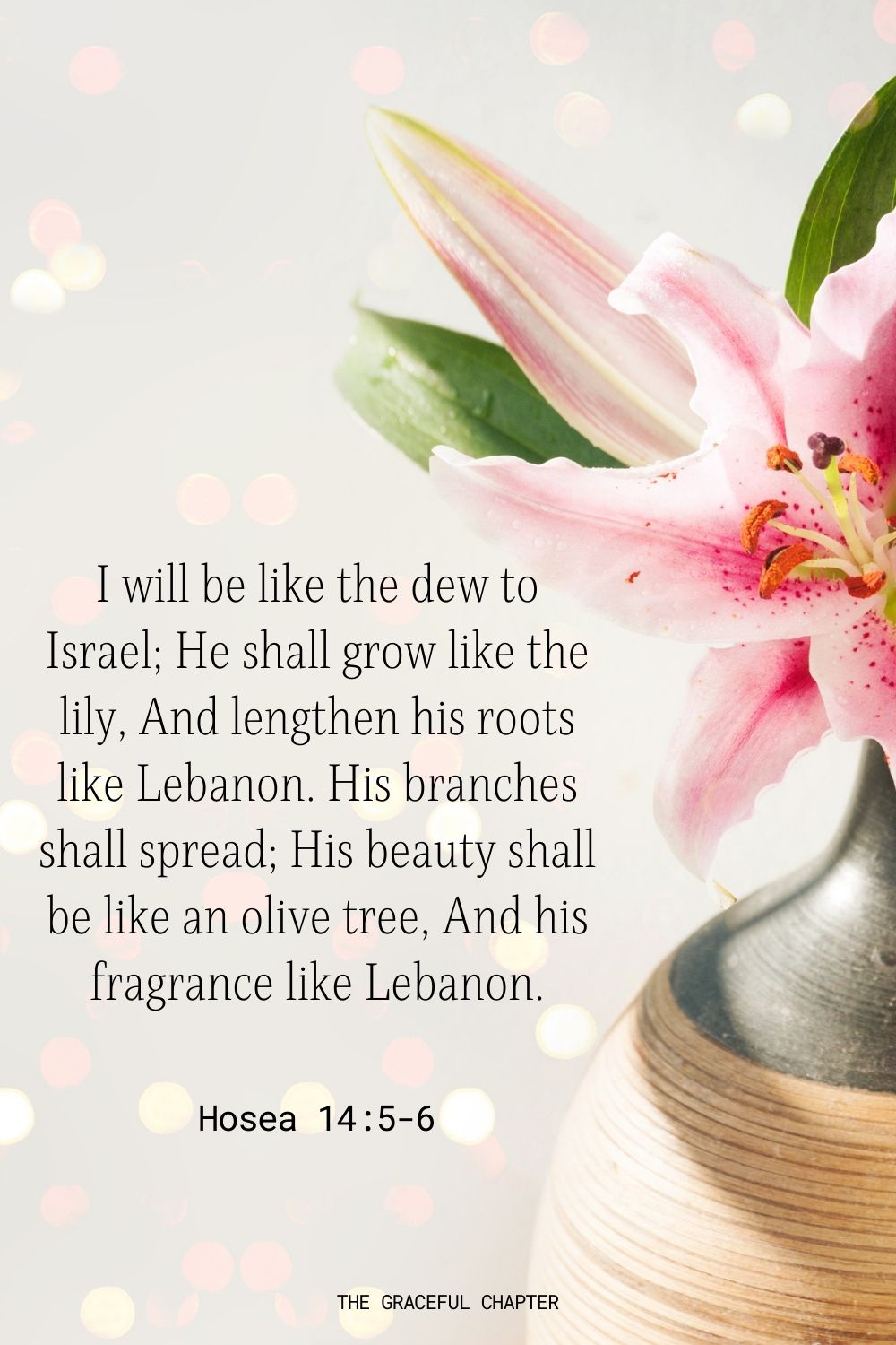 33 Bible Verses About Flowers The Graceful Chapter