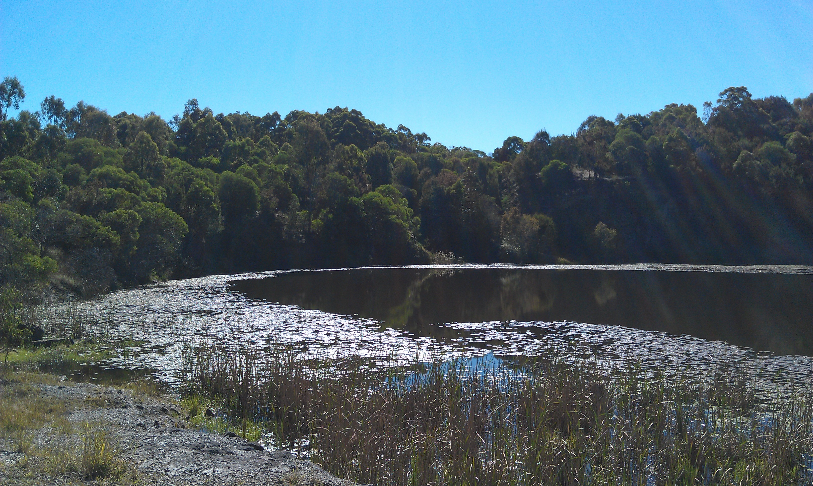 Daisy Hill Mountain Biking The Graceful Cyclists